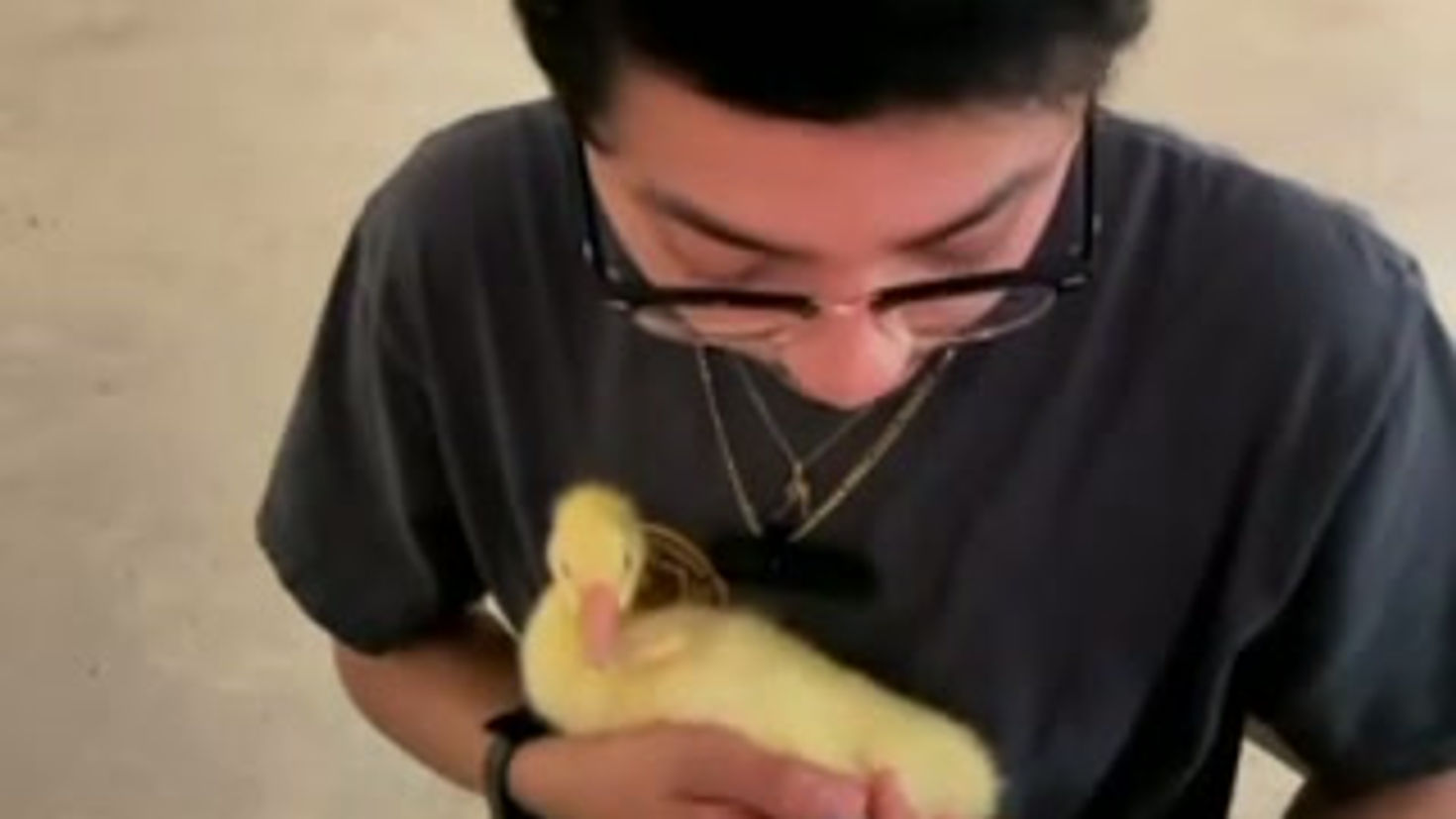 Goose Sample Collection